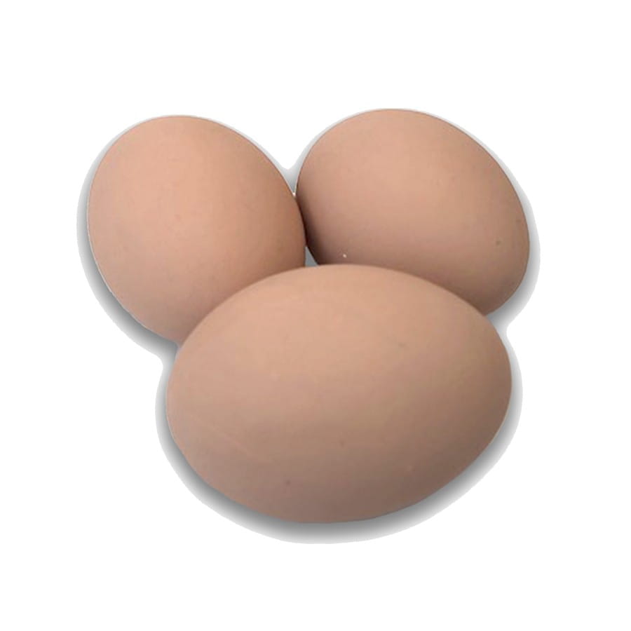 Jak przechowywać jajka, aby zachowały świeżość?